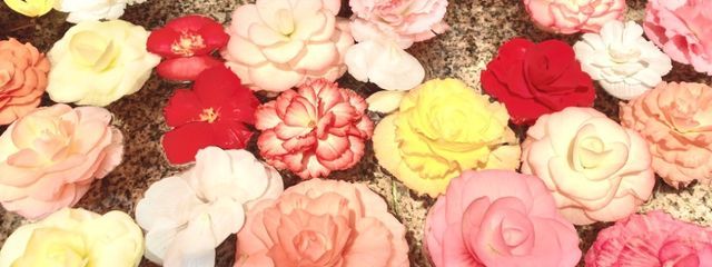 愁薔薇 新千(しゅうばら にーちぇ)さんの壁紙画像
