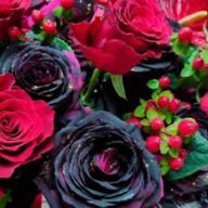 愁薔薇 新千(しゅうばら にーちぇ)さんのアイコン画像