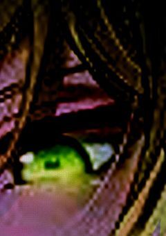 🍅彡病み病みboyな件