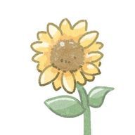 ひまわりさんのアイコン画像