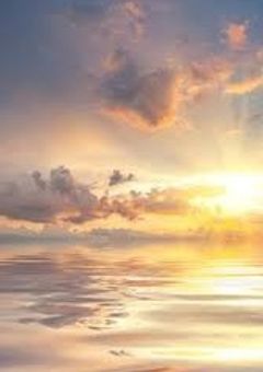 心臓を君に捧ぐ