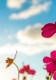 物の恩返し【オリジナル】