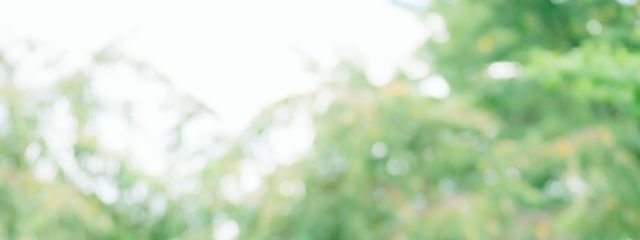 壱華さんの壁紙画像