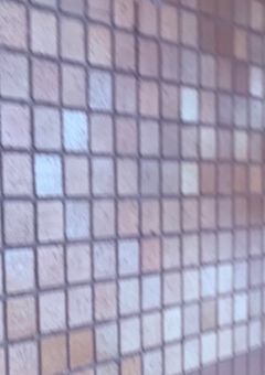 『僕にも構って！！』