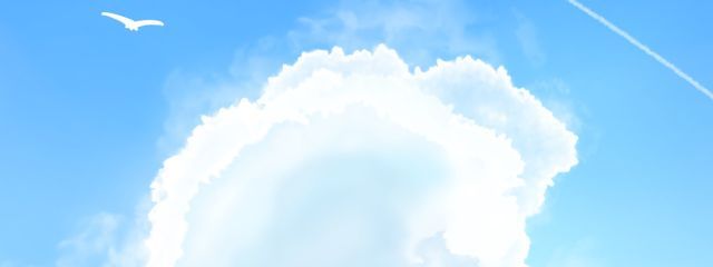 綾Ｐさんの壁紙画像