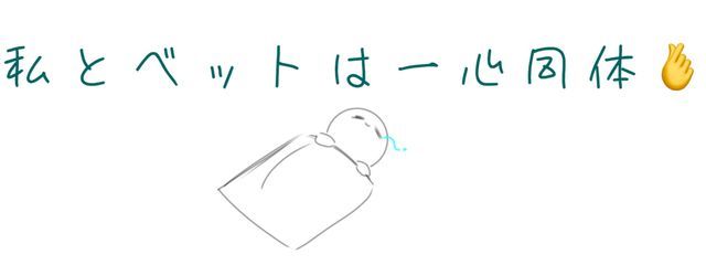 夜行性さんの壁紙画像
