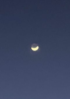 新しい組が出来ました