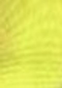 嘘コクしたら奴隷にされた【inm】