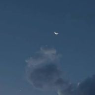 にんじんさんのアイコン画像