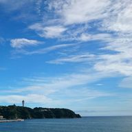 ぺちゃんこさんのアイコン画像