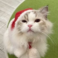 🐶yukky🐾さんのアイコン画像