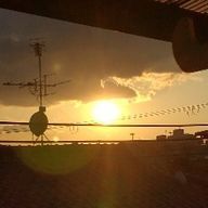 しぃさんのアイコン画像