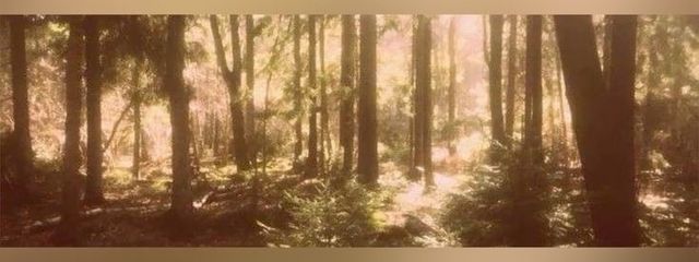 東雲さんの壁紙画像