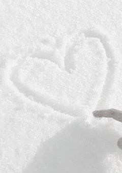 #うちの家庭教師くん