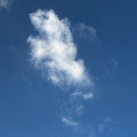 アンコモチさんのアイコン画像