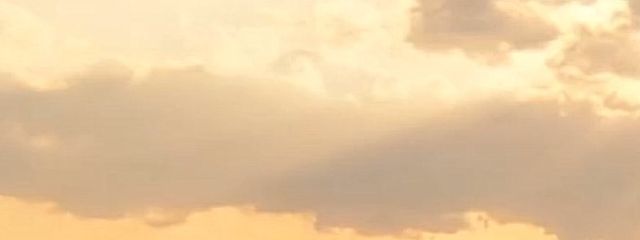 きのたろ。さんの壁紙画像