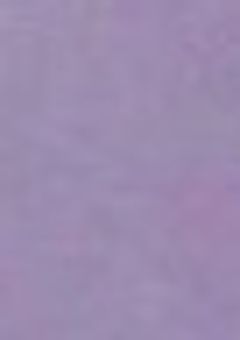 　生意気実況者、出陣です　