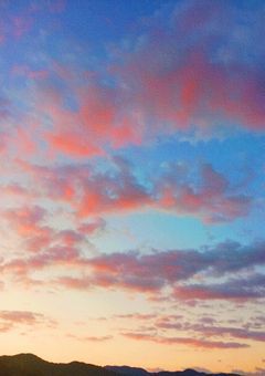 私の妄想日記～推しと一緒に歌い手活動なんか死んじゃうよ！～