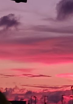 この世界に1人のおばけ(私)の隣の席は有名な払い屋で終わってる！！