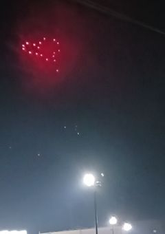 内気な私は転生してネストになった！？