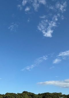 チ。反応集︎🌟