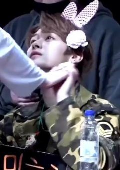 サイン会で真顔、無言だったのに、、溺愛されてる？