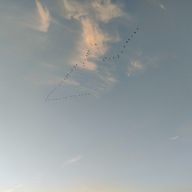 花愛さんのアイコン画像