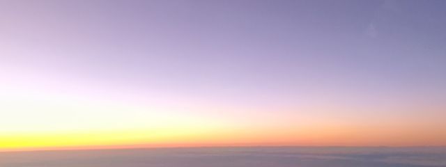 ããããðâªððª·ããã®å£çŽç»å