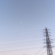 れんれん💜‪🌕🪷さんのアイコン画像