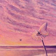 夜桜　明日夢さんのアイコン画像