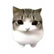 きうい🥝さんのアイコン画像