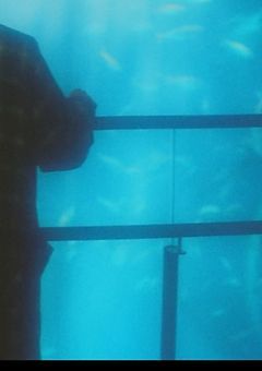 あの日の約束