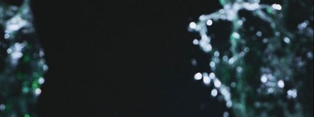 櫻井 飛羽奈 𐙚 🍀🫧さんの壁紙画像