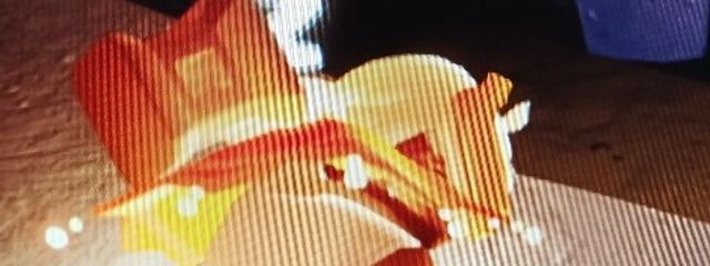 Pal/ぱるさんの壁紙画像