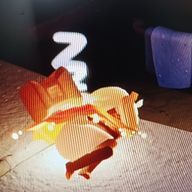 ぱるさんのアイコン画像