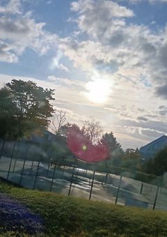 どうして…こんなことに