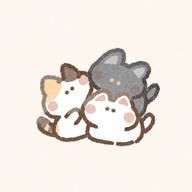 のあさんのアイコン画像