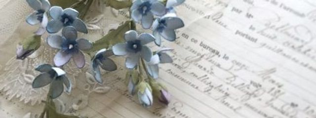 ジョピエ🐇♥️さんの壁紙画像