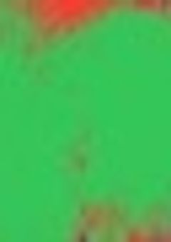 【無期限参加型】ねぇあそぼ！