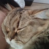唯さんのアイコン画像