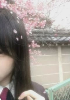 　　今日、好きになりました。　　