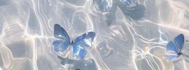 ็ๆตท ใใช ๐ ๐๐ธโชโชใใใฎๅฃ็ด็ปๅ