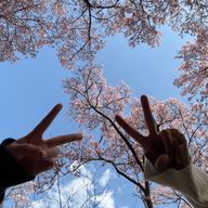 りぃ！！！さんのアイコン画像