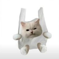 ぷの！さんのアイコン画像