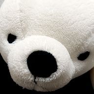 ただのシロクマさんのアイコン画像