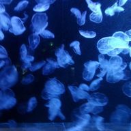 月乃はるさんのアイコン画像