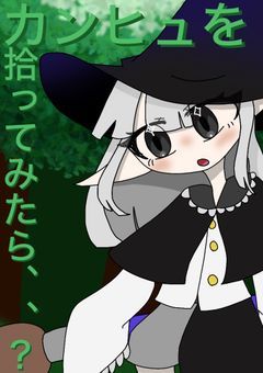 カンヒュ達を拾ってみたら、、？