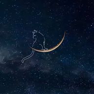 さほ（TravisJapan・SnowMan推し）さんのアイコン画像