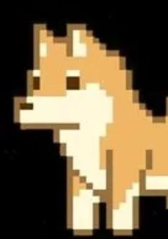 ネコ科さん専用部屋🌙