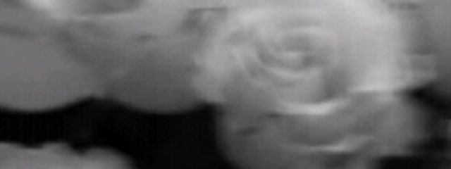 ﾜﾀｱﾒさんの壁紙画像